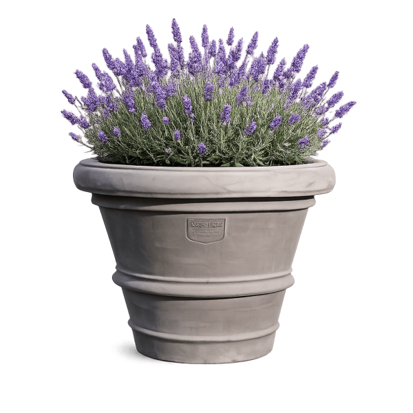 Grauer, konisch geformter Impruneta Terracotta Blumentopf – handgefertigt und frostfest